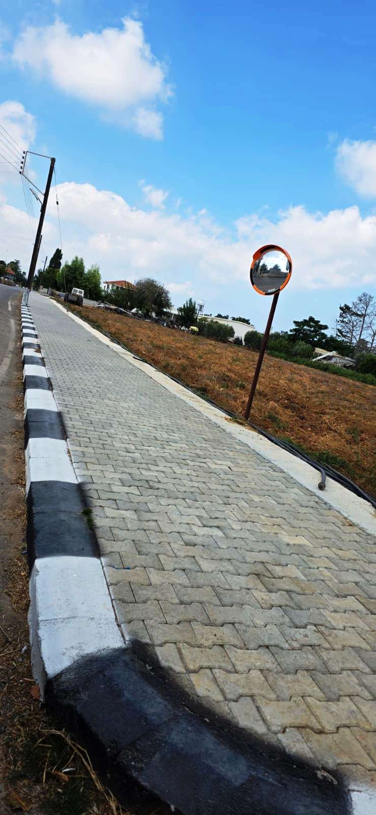 gelincik 2