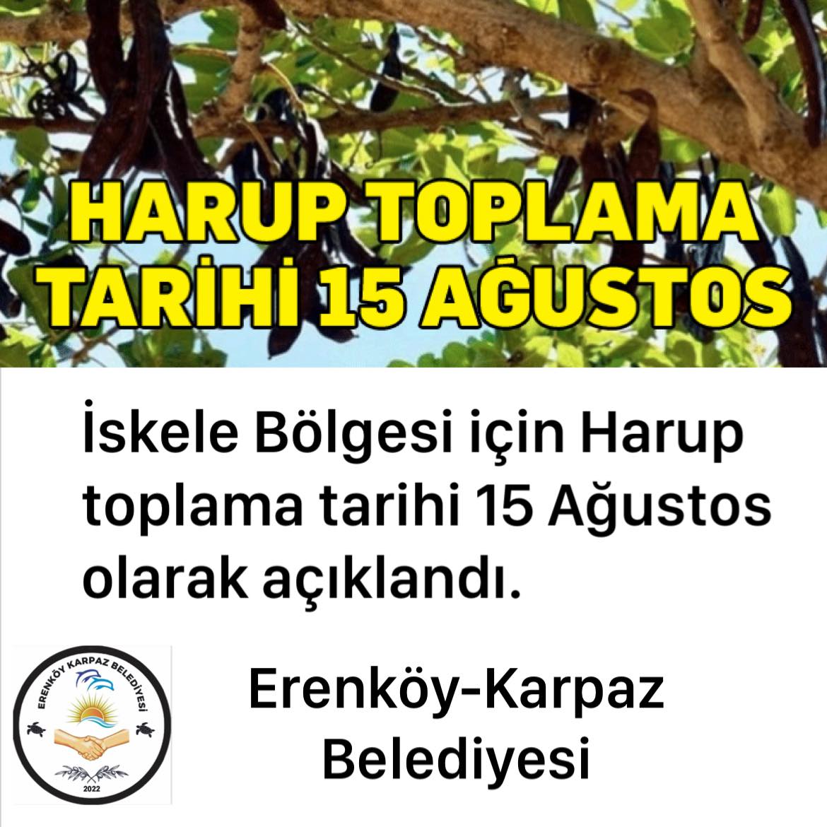 harup hasadı