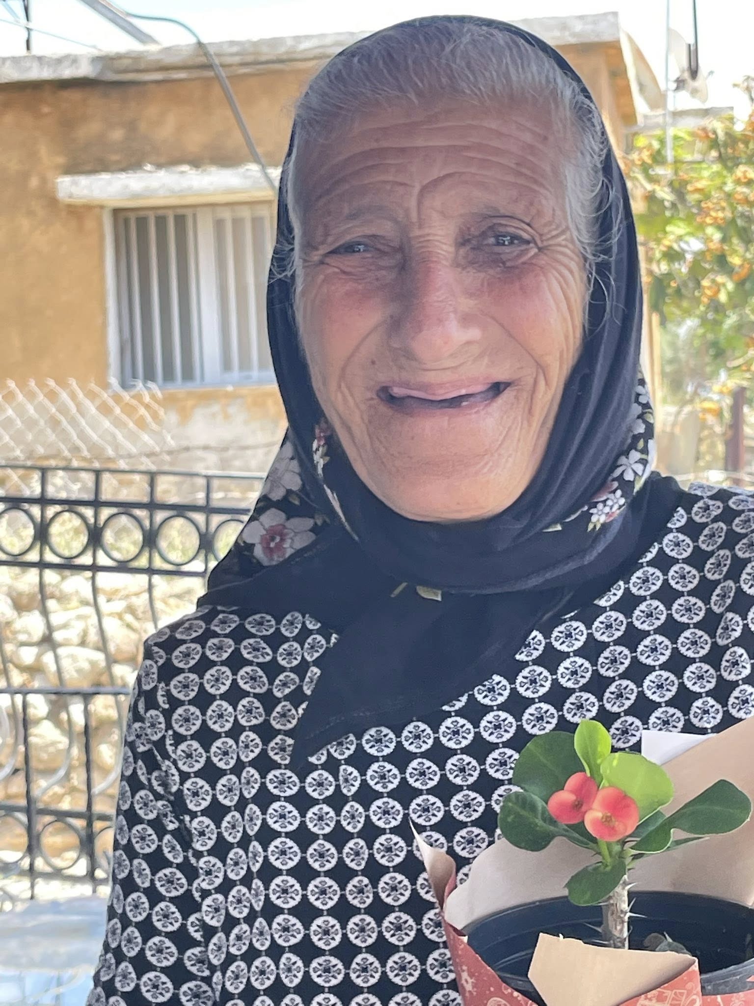 hayriye teyza avtepe