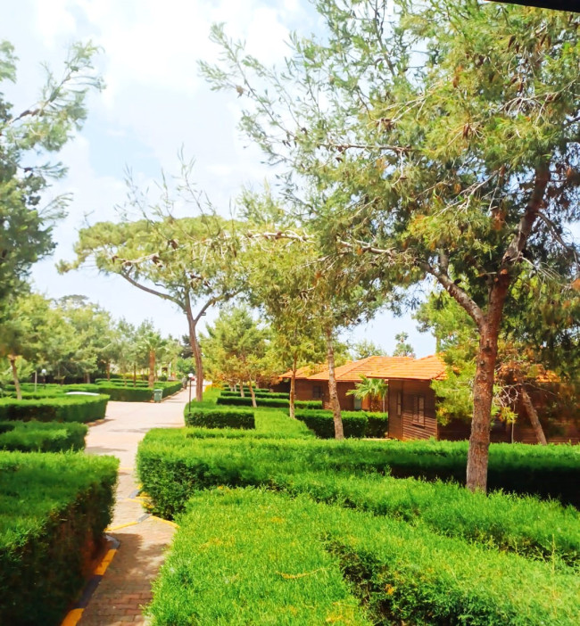 TATİL İÇİN YEŞİL VE HUZURU TERCİH EDİNİZ; Wooden Houses in Dipkarpaz