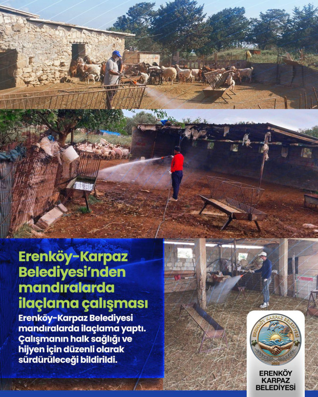 Erenk&ouml;y-Karpaz Belediyesi&rsquo;nden mandıralarda ila&ccedil;lama &ccedil;alışması