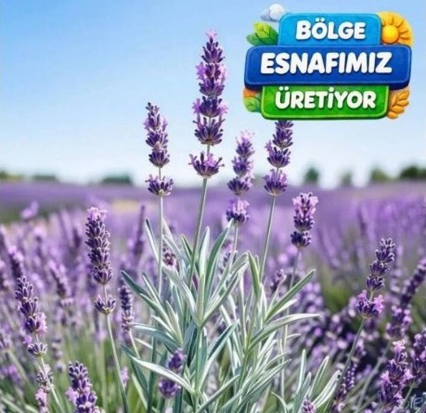 B&ouml;lgemiz Esnafı &Uuml;retiyor!