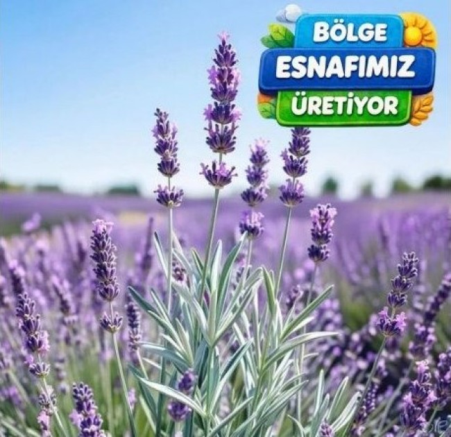 B&ouml;lgemiz Esnafı &Uuml;retiyor!