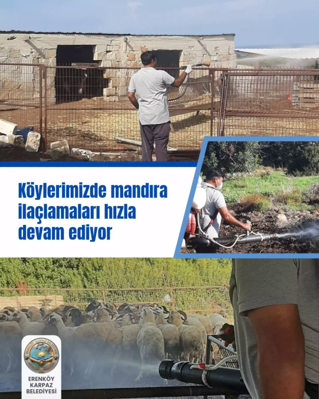 k&ouml;ylerimizde mandıra ila&ccedil;lamaları